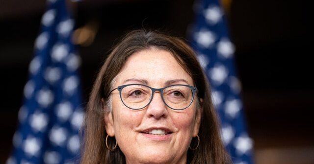 DCCC Chair on Gas Tax Pause: Should Invest in Green Energy