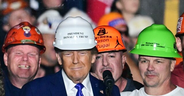 Labor Department: Native-Born Americans Account for 100% of Job Gains Under Donald Trump