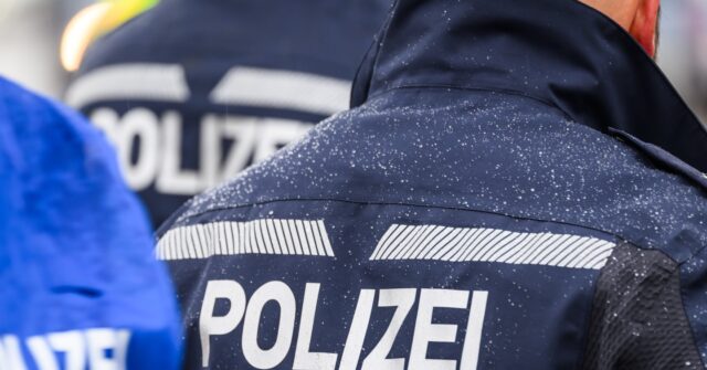 Germany: U.S. Man Stabbed After Trying to Protect Women on Tram from Migrant Harassment