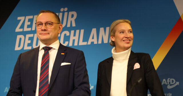 Majority of Germans Oppose State Ban of Anti-Mass Migration AfD Party