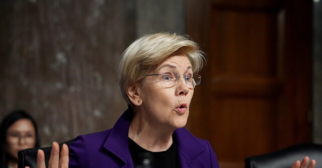Warren: Mamdani’s Gov’t Grocery Store Idea ‘Has Had Some Real Successes’