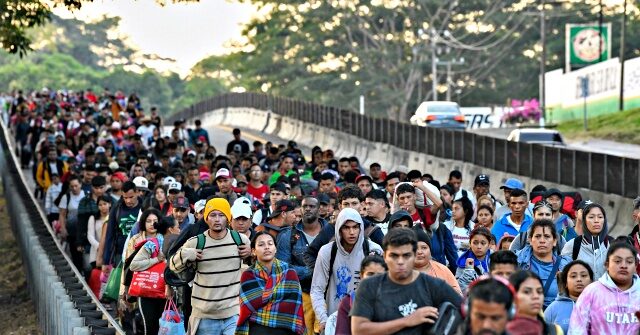 Analysis: Immigrant Households Use Welfare at ‘Substantially Higher Rates’ than Americans in Nearly Every State