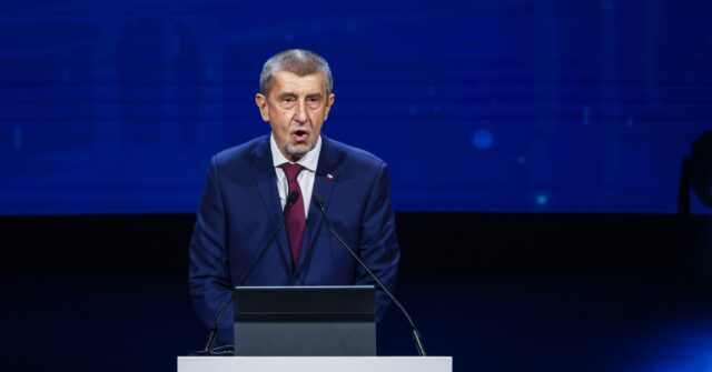 Populist Ex-Czech PM Babis Hospitalized After Attack During Campaign Rally