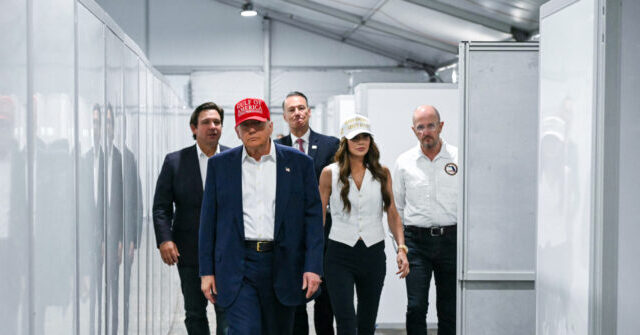 America First: Foreign-Born Employment Plunges, American-Born Employment Soars