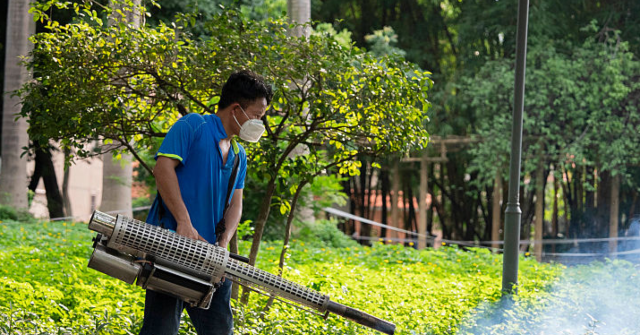 China Insists Chikungunya Virus Outbreak ‘Under Control,’ U.S. Travel Warning ‘Unnecessary’