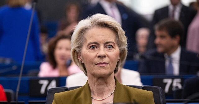 European Union Wants Sanctions, Trade Suspensions for Israel Says Von der Leyen