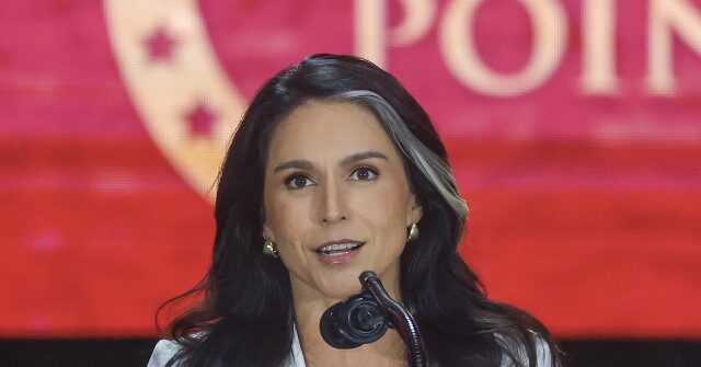 Tulsi Gabbard: Everyone ‘Needs to Be a Warrior’ Like Charlie Kirk