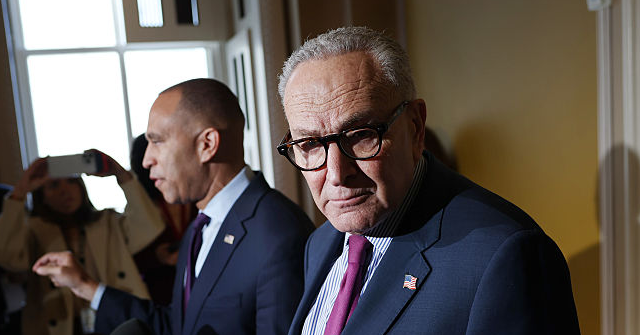 Democrat Candidates Condemn Party Leaders for Timid Response to Trump: ‘Show the People that You’re Angry’