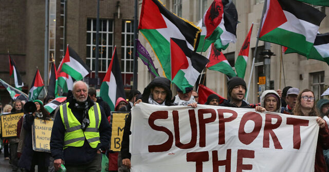‘Increasingly Likely’ Palestine Activists on Hunger Strike in British Jails Could Die, Claims Lawyer