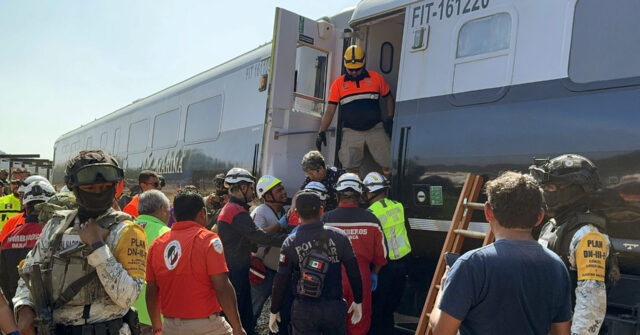 Watch: Train Crash in Mexico Leaves 13 Dead, Nearly 100 Injured