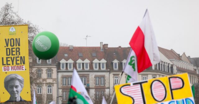 EU to Implement South American Trade Deal Despite Vote Demanding Judicial Review