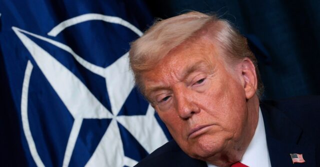 CNN’s Tapper: Trump Did Get Europe to Spend More on NATO