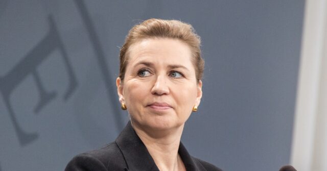 Denmark to Automatically Deport Criminal Migrants Jailed for One Year, Says PM