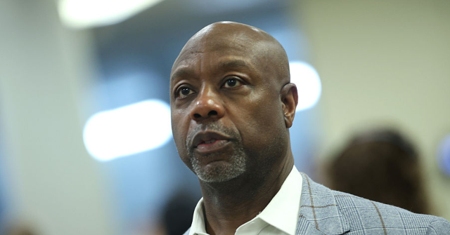 Sen. Tim Scott Backs Lindsey Graham’s Sister to Replace the Late Senator: ‘Fantastic Pick’