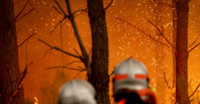 Nine in Ten ‘Wildfires’ Started by Human Hands, French Government Admits