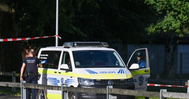 One Dead, Five Wounded in Shooting at Rave in Switzerland