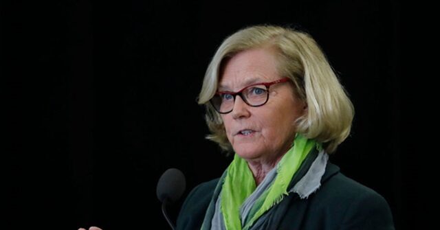 Dem Rep. Pingree on Voters Disapproving of Dems: ‘Democrats Are Doubling Down’, There Was a Shutdown