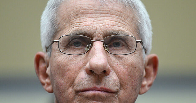Exclusive – Sen. Tom Cotton: ‘Lying Disgrace’ Fauci Worked with Leftist Media to Smear Those Who Pointed to Lab Leak