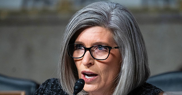 Exclusive: Sen. Joni Ernst Proposes to Stop No-Bid Awards After Hundreds of Millions Paid in SBA Contract Bribery Schemes
