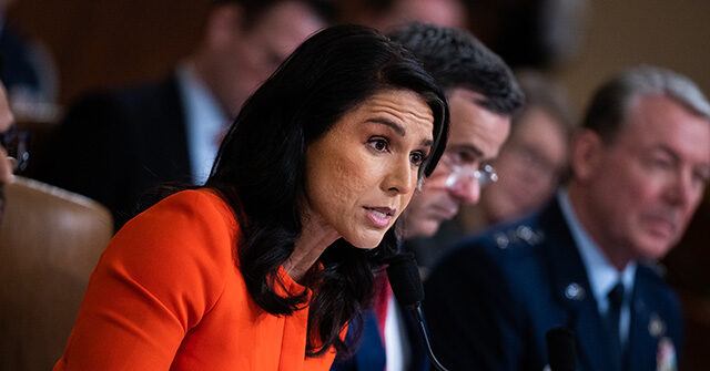 Tulsi Gabbard Accuses Washington Post Reporter of ‘Actively Harassing’ Her Staff
