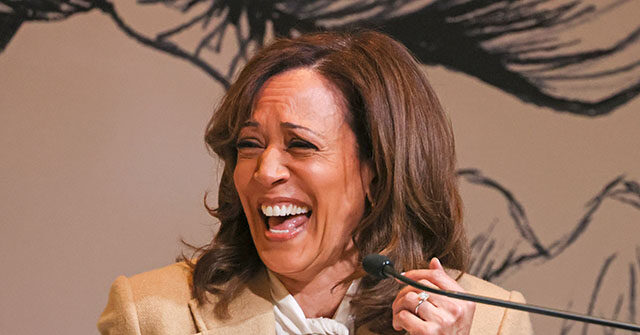 WATCH — Kamala Harris Drops Cringe TikTok: ‘Everyone Thinks You’ve Been Kicking Back, Drinking Margaritas on the Beach’
