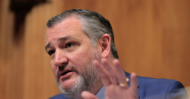 Ted Cruz Urges Trump to Recognize Somaliland, Citing Emerging Israeli Ties and Its Role as a Key U.S. Ally
