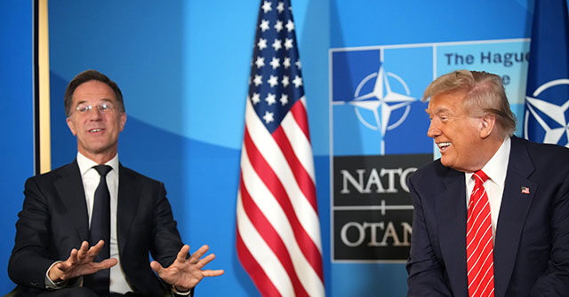 NATO Chief Praises ‘Daddy’ Trump: ‘A Man of Peace’