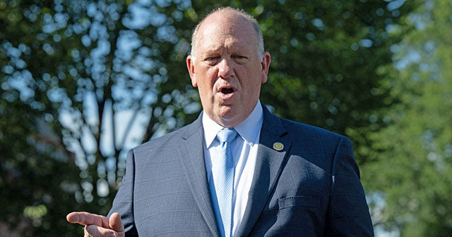 Tom Homan: Trump Brought Illegal Immigration Down 96 Percent