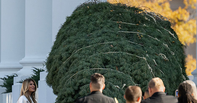 First Lady Melania Trump Welcomes, Inspects White House Christmas Tree: ‘It’s a Beautiful Tree!’