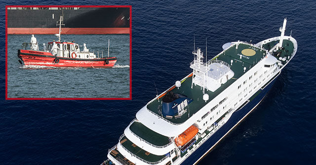 Three Passengers Dead After Outbreak of Hantavirus, Disease Spread by Rodents, on Cruise Ship Baffles Experts