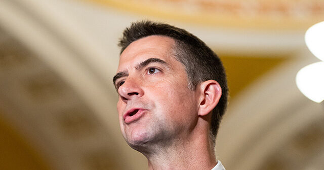 Exclusive: Sen. Tom Cotton Proposes Bill to Counter Chinese Cyberthreats for Patients