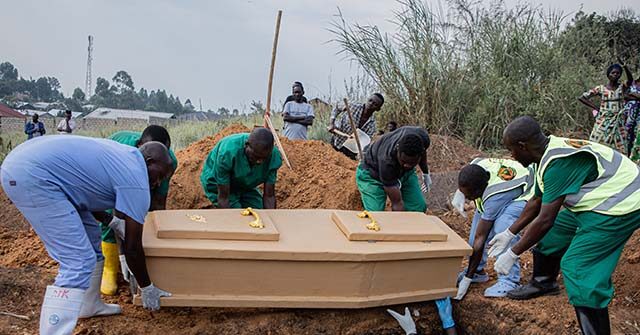 Study Finds Animals Likely Spread Ebola to Humans in DR Congo Outbreak