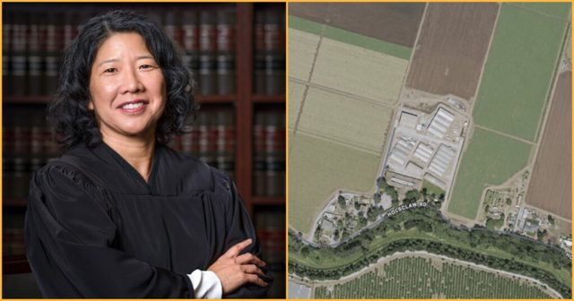 Biden Judge Halts Planned ICE Holding Facility in California Garlic Country Over Absurd “Septic Tank” Concerns