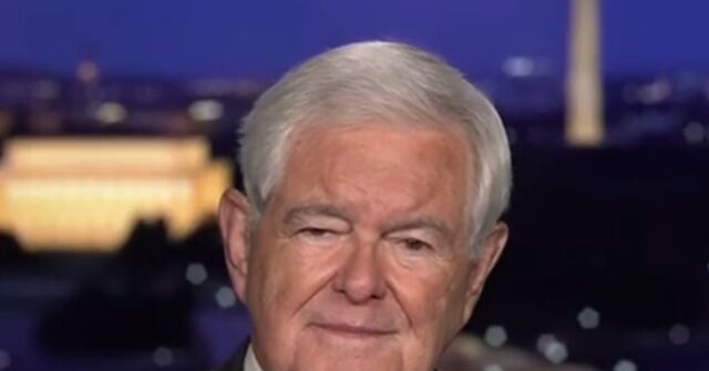 Gingrich: Schumer, Jeffries ‘Are Just Totally Out of Touch with America’