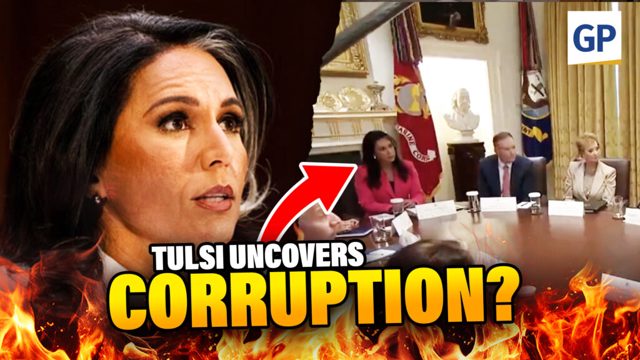 DNI Tulsi Gabbard UNCOVERS 2020 Election CORRUPTION Docs | Elijah Schaffer’s Top Stories (VIDEO)