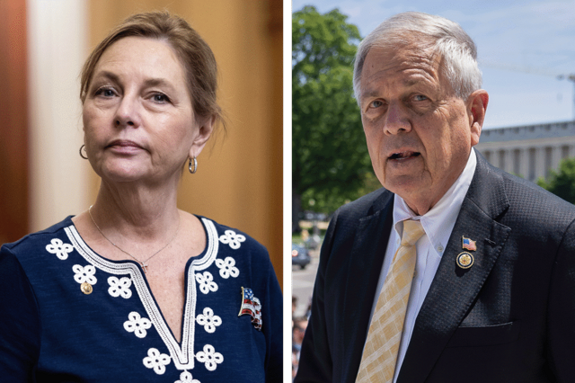 Darline Graham and Ralph Norman advance to a runoff for South Carolina Senate
