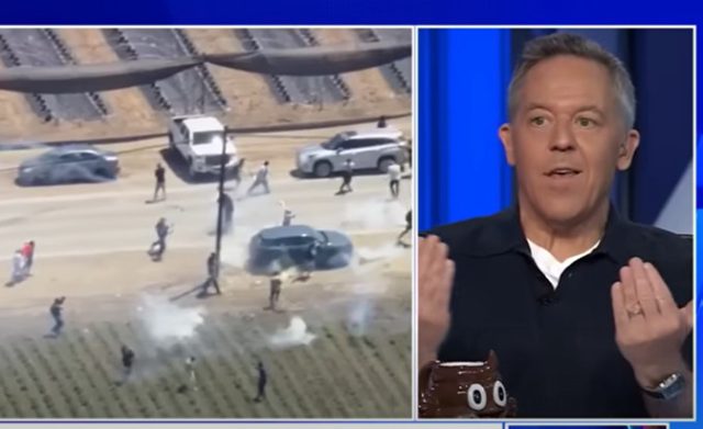 Greg Gutfeld: ‘The Modern Democrat Picks the Wrong Side in Every Contest – Imagine Watching Jaws and Rooting for the Shark’ (VIDEO)