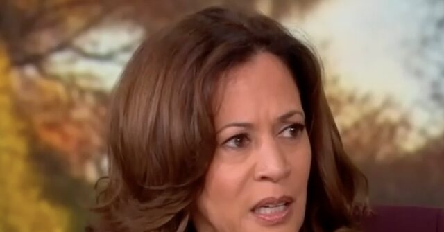 Kamala Harris: ‘Petty’ Trump Committing ‘Frontal Attack’ on Rule of Law