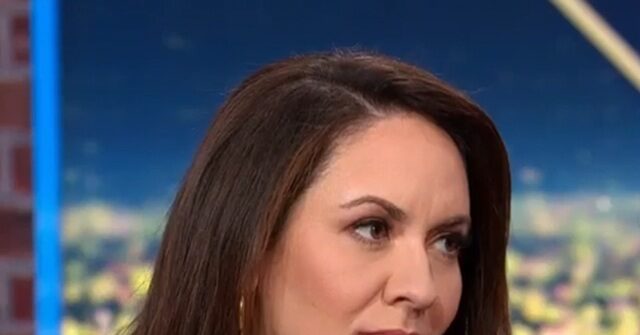 Fmr. DNC, Biden DOJ Spox: Dems Keep Waiting for Guard, Should Request Federal Help on Crime