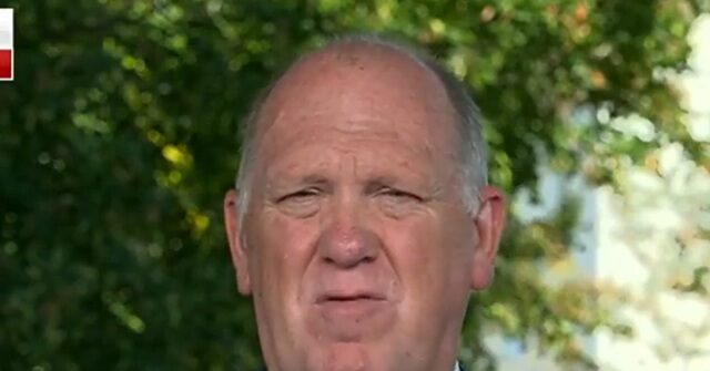Homan: ‘Damn Straight’ We’re Targeting Sanctuary Cities