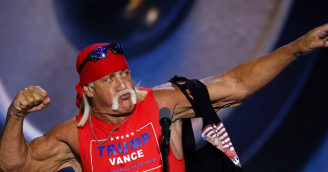 FL Democrat Who Celebrated Hulk Hogan Death Won’t Resign: ‘That Is My Personally Protected Speech That Was Not in My Public Capacity’