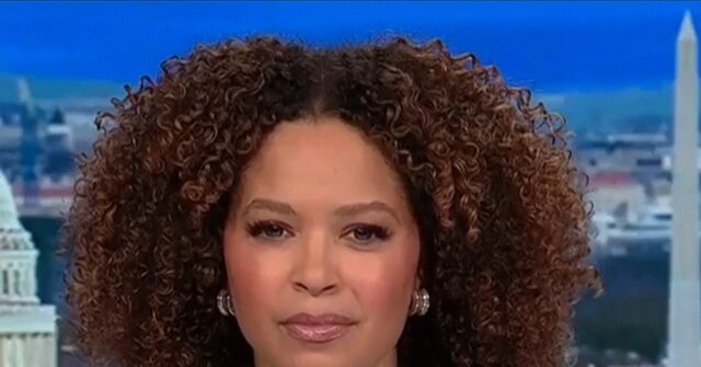 MSNBC’s Hylton: ‘Troubling’ DOJ Charging Person Who Characterized His Anti-ICE Acts as Civil Disobedience