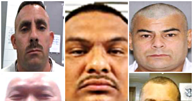 ICE Agents Arrest Convicted Killers, Sex Offenders, Robbers Across U.S.