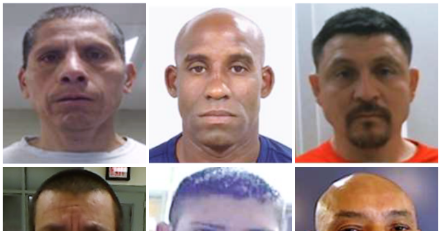 Report: ICE Arrests 30,000 Illegals in June — the Most in at Least Half a Decade