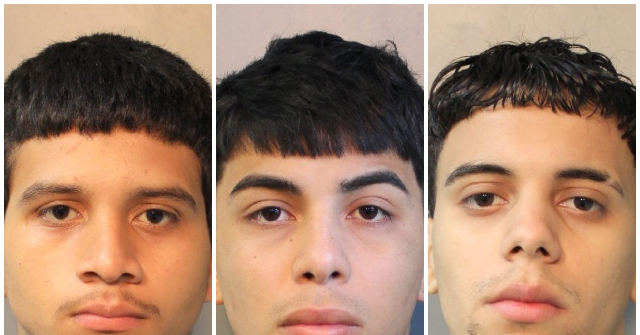 Sanctuary New York: Illegal MS-13 Gang Members Charged with Combined 14 Counts of Attempted Murder