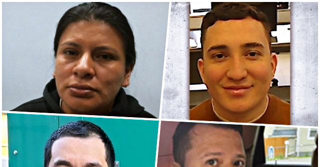 Trump’s DHS Oversees 400% Increase in Detainers for Criminal Illegal Aliens in Sanctuary New York City