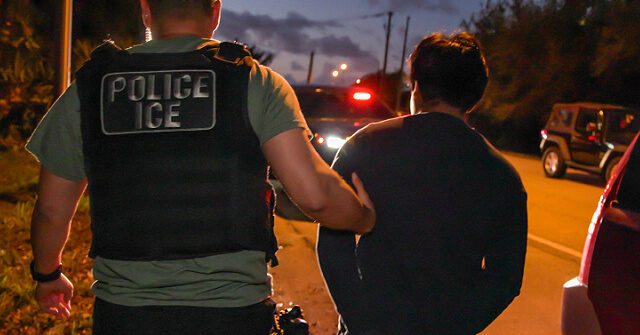 Mecklenburg County Sheriff: ‘Be Careful’ About ICE Arresting Criminals, Trespassing Is a Crime