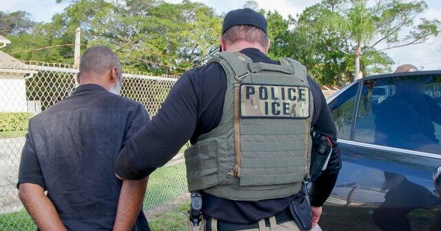 Mecklenburg County Commissioner: If ICE Was Doing Its Job, It Would Be at Border