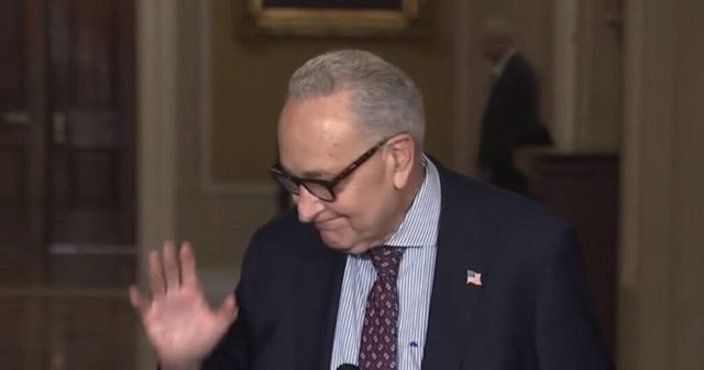 WATCH: Nervous Chuck Schumer Dodges Questions About Endorsing Socialist Michigan Senate Candidate in General Election and Whether Rise of DSA is Good for Party