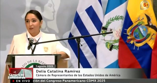 Dem Rep. Delia Ramirez Declares ICE a ‘Terrorist Organization’ (VIDEO)